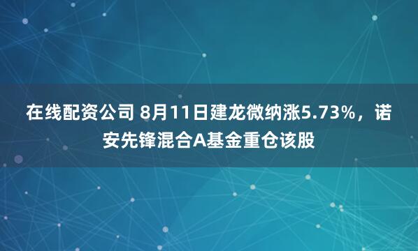 在线配资公司 8月11日建龙微纳涨5.73%，诺安先锋混合A基金重仓该股