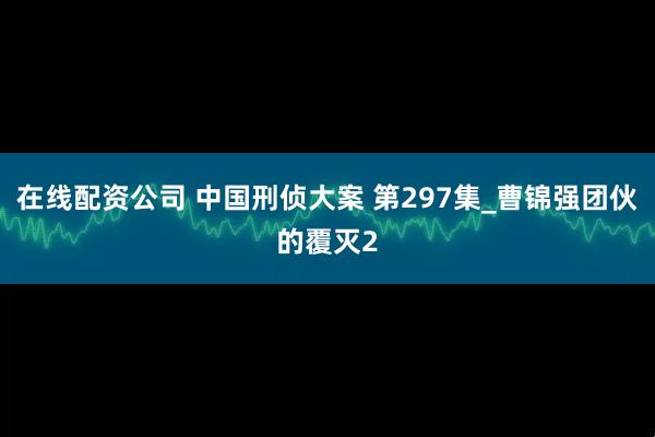 在线配资公司 中国刑侦大案 第297集_曹锦强团伙的覆灭2