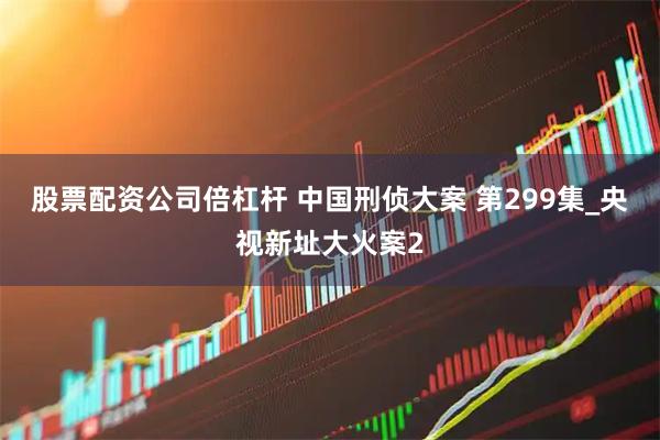 股票配资公司倍杠杆 中国刑侦大案 第299集_央视新址大火案2