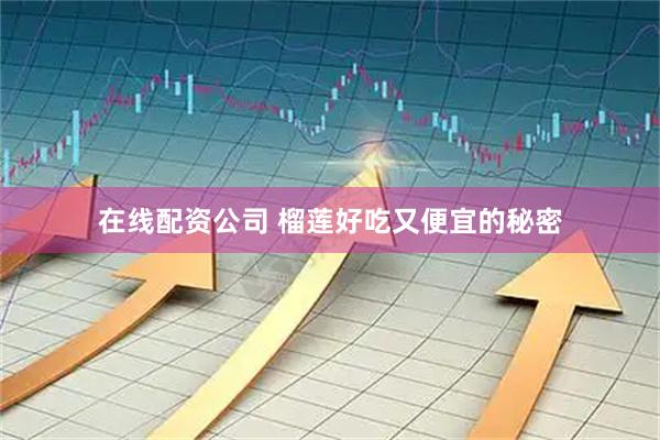 在线配资公司 榴莲好吃又便宜的秘密