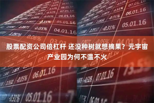 股票配资公司倍杠杆 还没种树就想摘果？元宇宙产业园为何不温不火