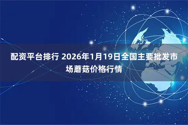 配资平台排行 2026年1月19日全国主要批发市场蘑菇价格行情